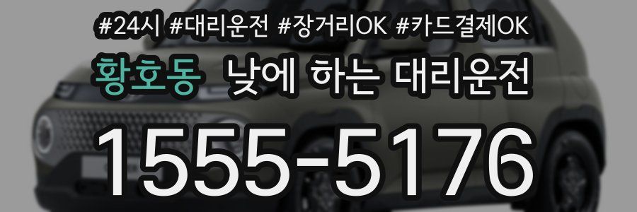 황호동 낮에 하는 대리운전