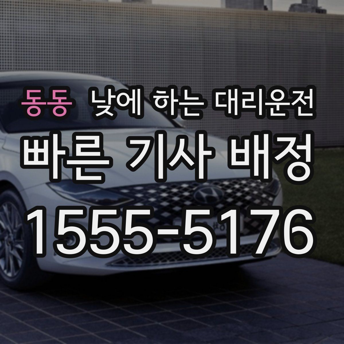 동동 낮에 하는 대리운전 같은 기사님으로 왕복 가능한지 궁금할 때