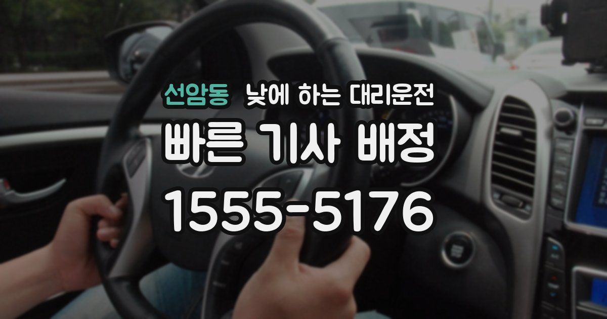 선암동 낮에 하는 대리운전