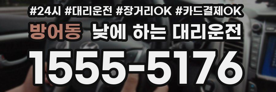 방어동 낮에 하는 대리운전