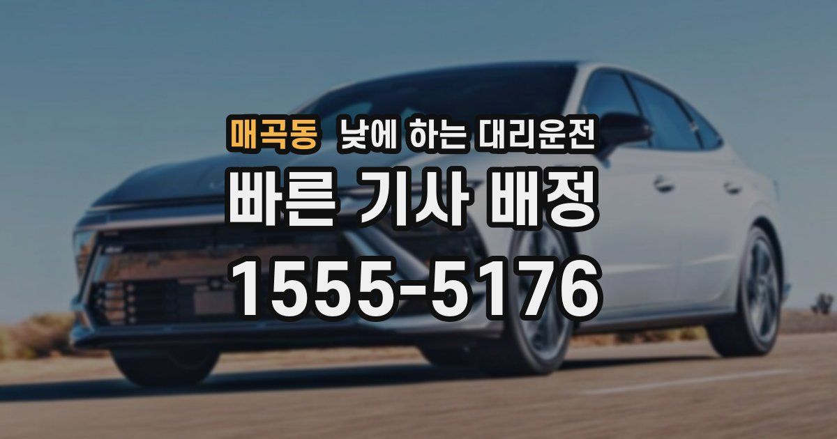 매곡동 낮에 하는 대리운전