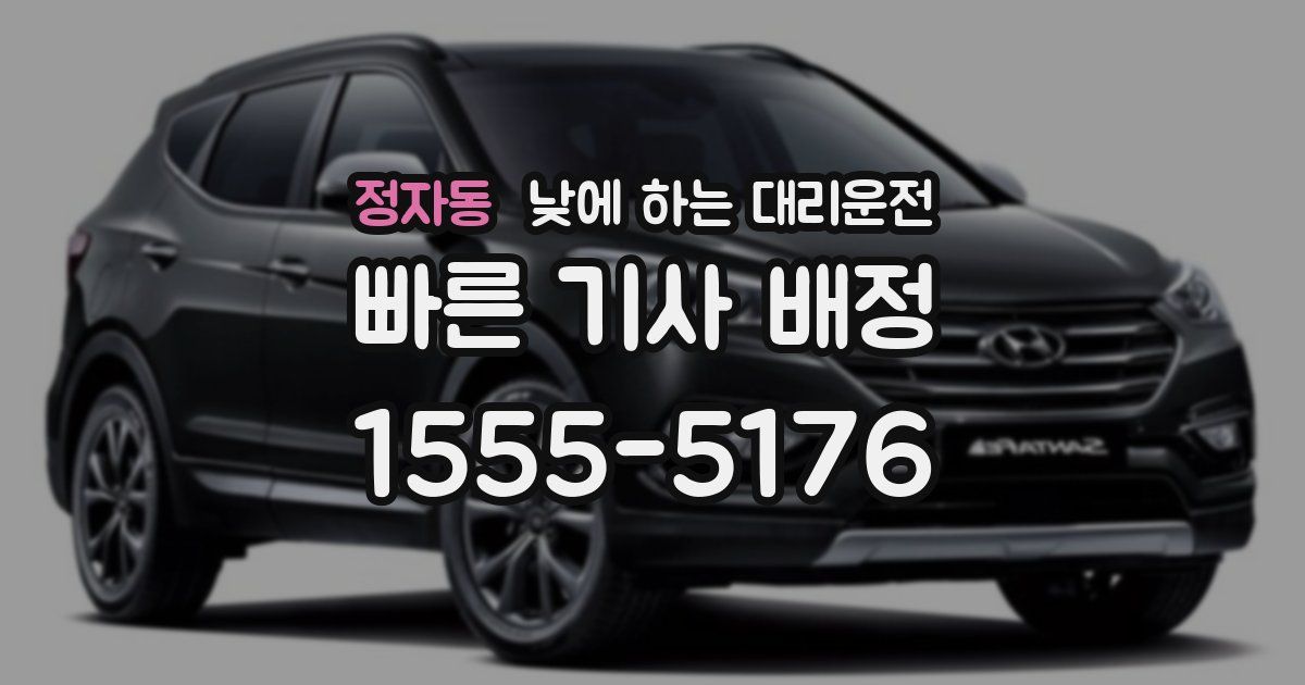 정자동 낮에 하는 대리운전