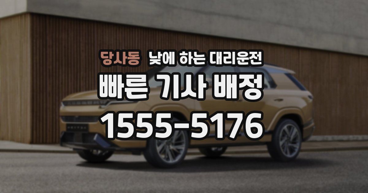 당사동 낮에 하는 대리운전