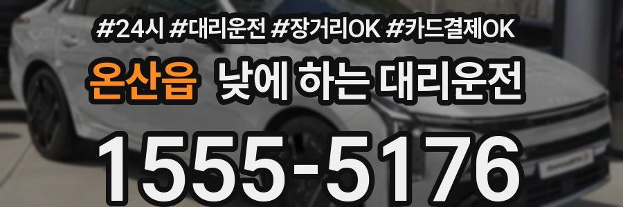 온산읍 낮에 하는 대리운전