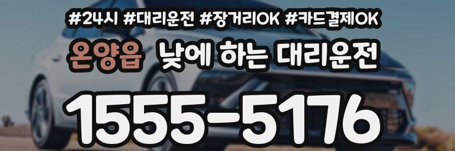 온양읍 낮에 하는 대리운전