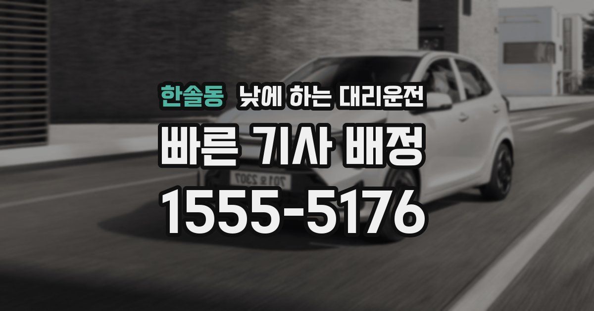 한솔동 낮에 하는 대리운전