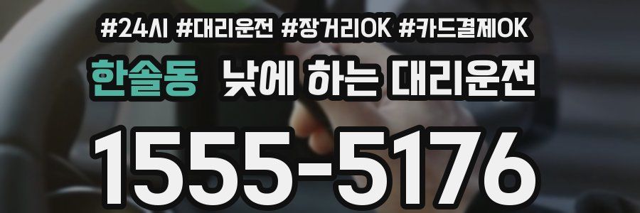 한솔동 낮에 하는 대리운전