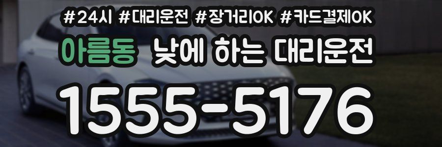 아름동 낮에 하는 대리운전