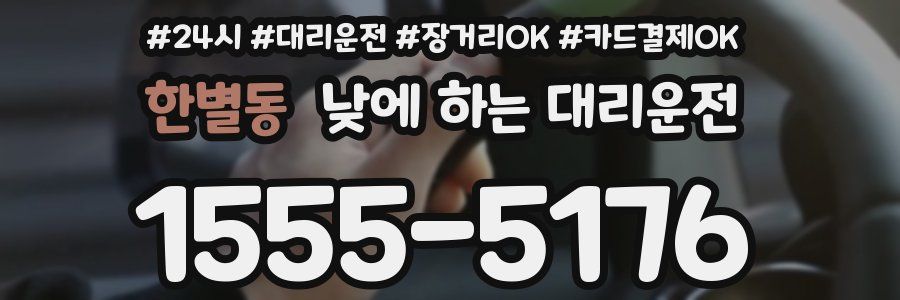 한별동 낮에 하는 대리운전