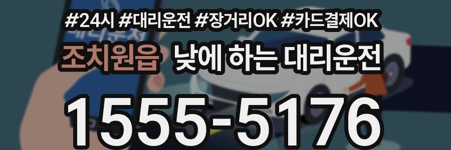 조치원읍 낮에 하는 대리운전