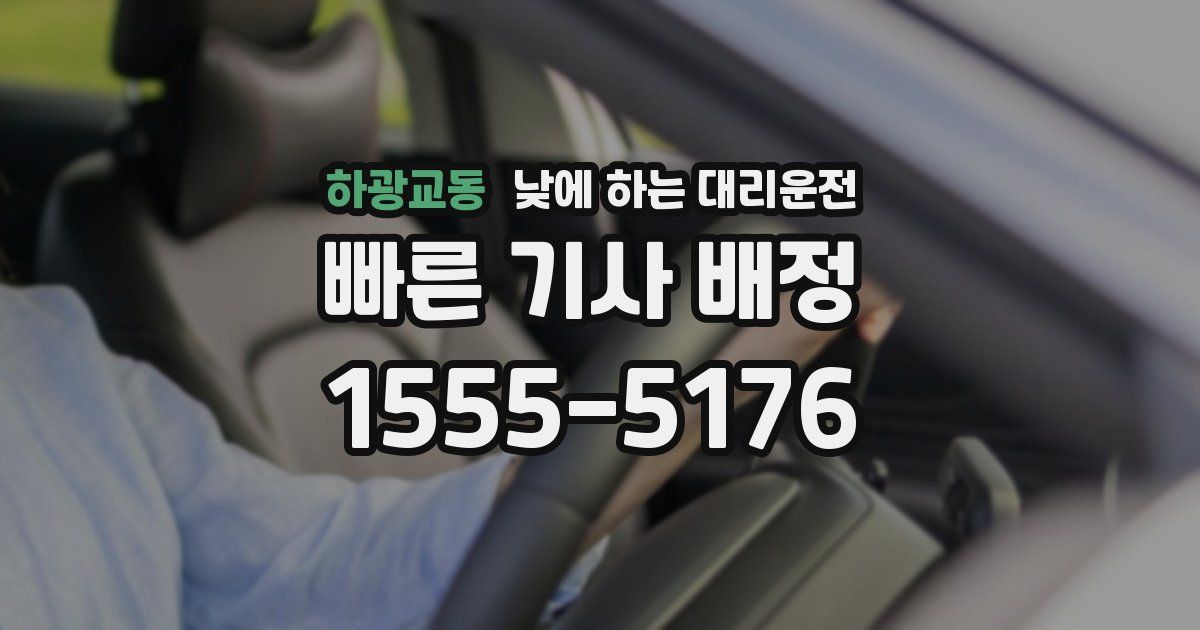 하광교동 낮에 하는 대리운전