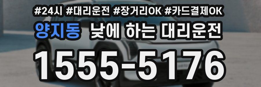 양지동 낮에 하는 대리운전