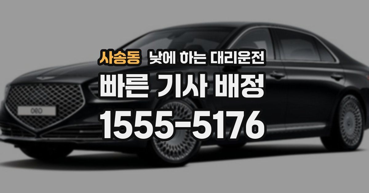 사송동 낮에 하는 대리운전