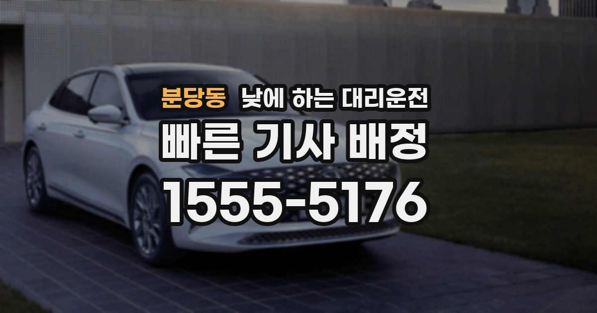 분당동 낮에 하는 대리운전