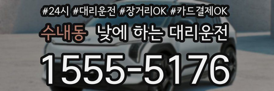 수내동 낮에 하는 대리운전