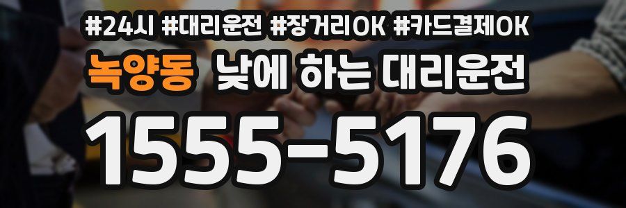 녹양동 낮에 하는 대리운전