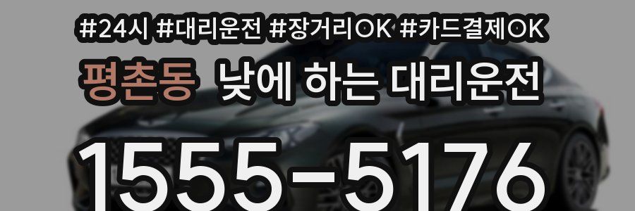 평촌동 낮에 하는 대리운전