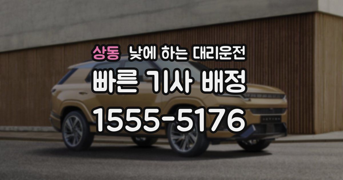 상동 낮에 하는 대리운전