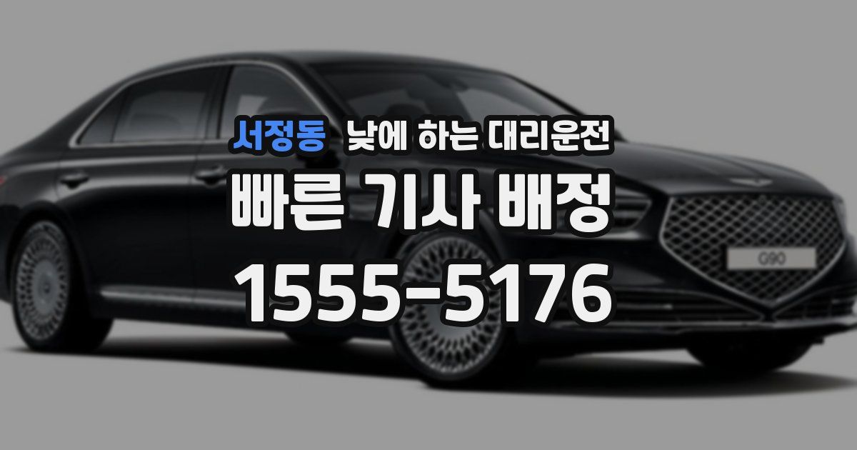 서정동 낮에 하는 대리운전