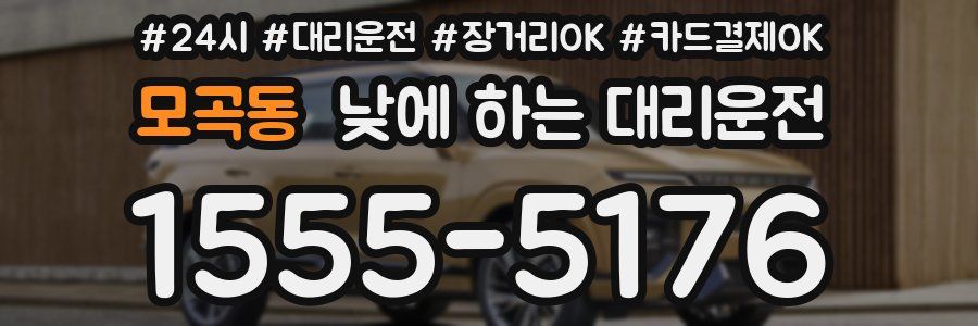 모곡동 낮에 하는 대리운전