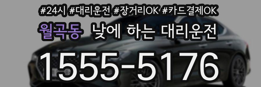월곡동 낮에 하는 대리운전