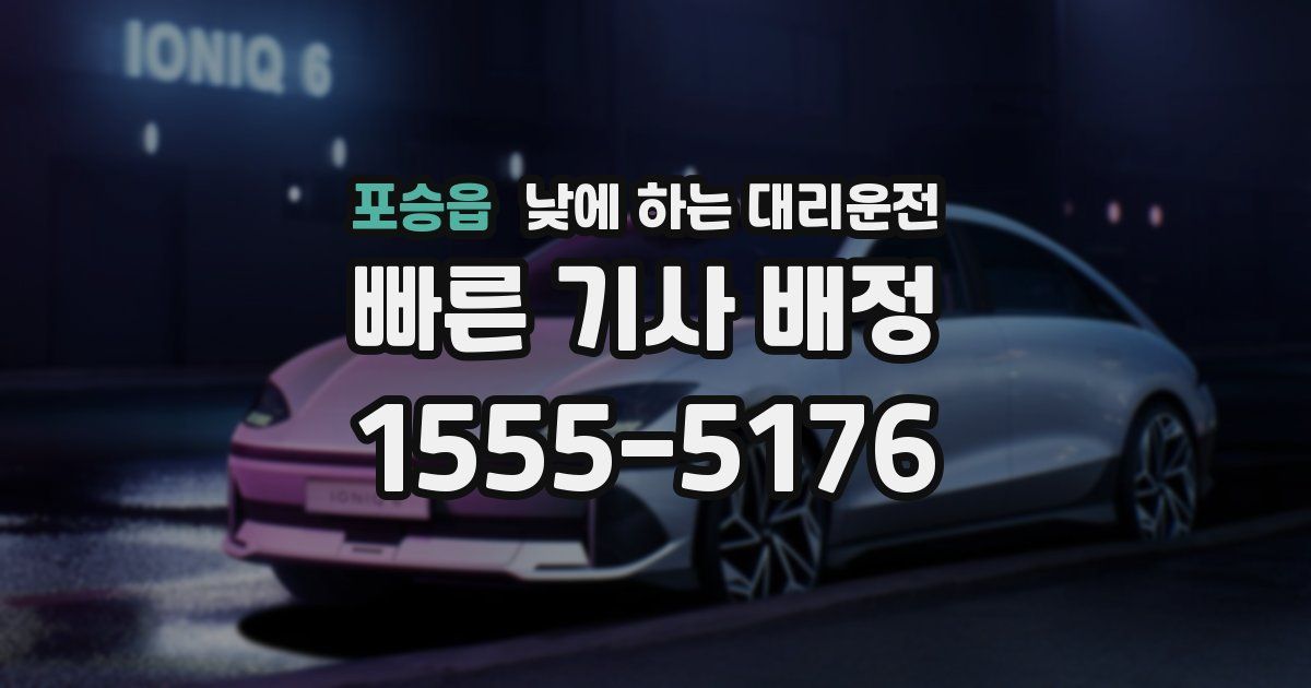 포승읍 낮에 하는 대리운전