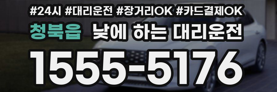 청북읍 낮에 하는 대리운전