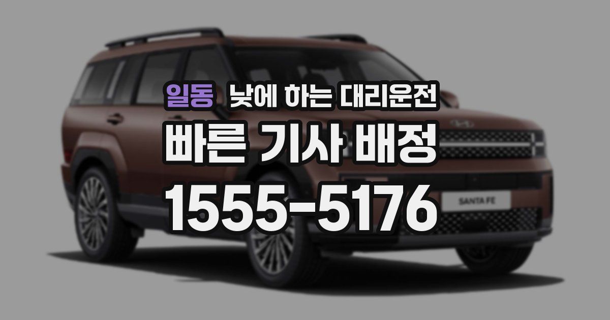 일동 낮에 하는 대리운전