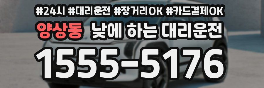 양상동 낮에 하는 대리운전