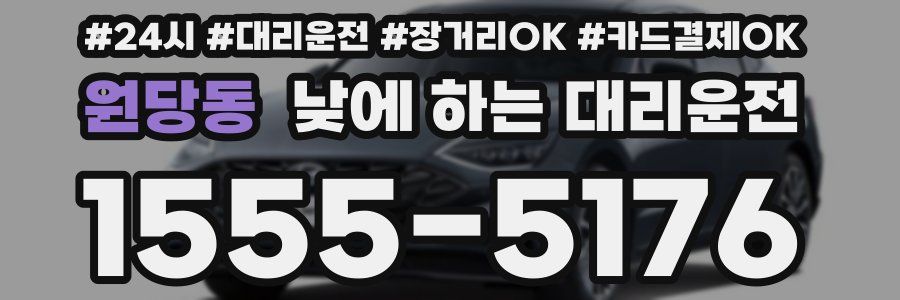 원당동 낮에 하는 대리운전