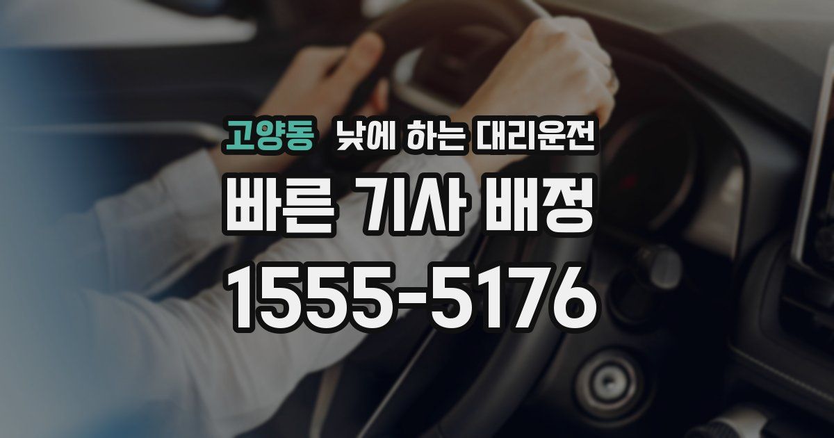 고양동 낮에 하는 대리운전