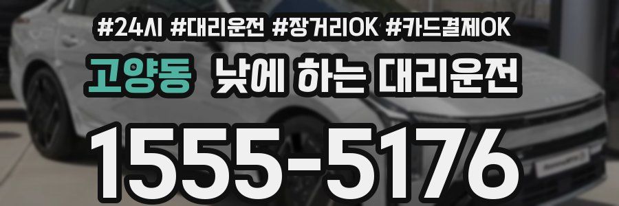 고양동 낮에 하는 대리운전