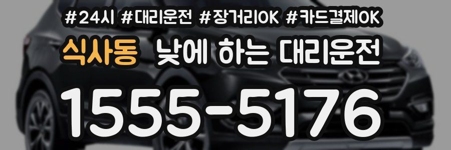 식사동 낮에 하는 대리운전