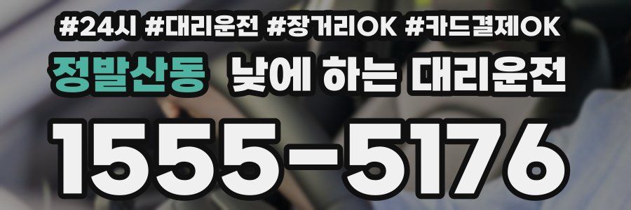 정발산동 낮에 하는 대리운전