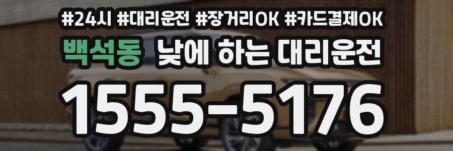 백석동 낮에 하는 대리운전