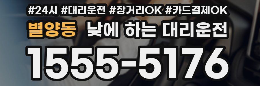 별양동 낮에 하는 대리운전