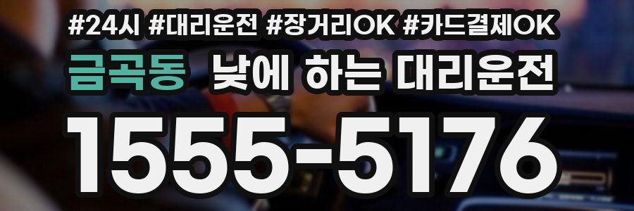 금곡동 낮에 하는 대리운전