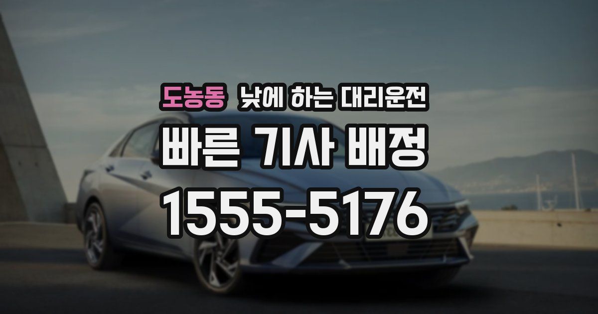 도농동 낮에 하는 대리운전