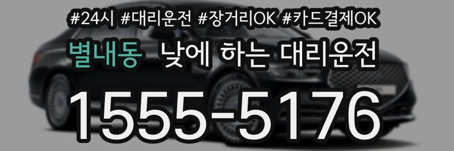 별내동 낮에 하는 대리운전