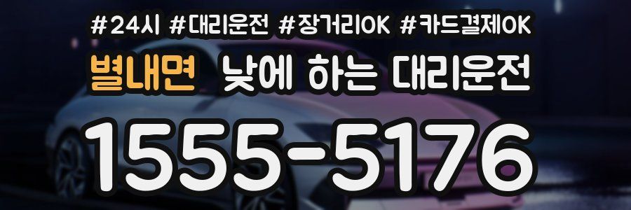 별내면 낮에 하는 대리운전
