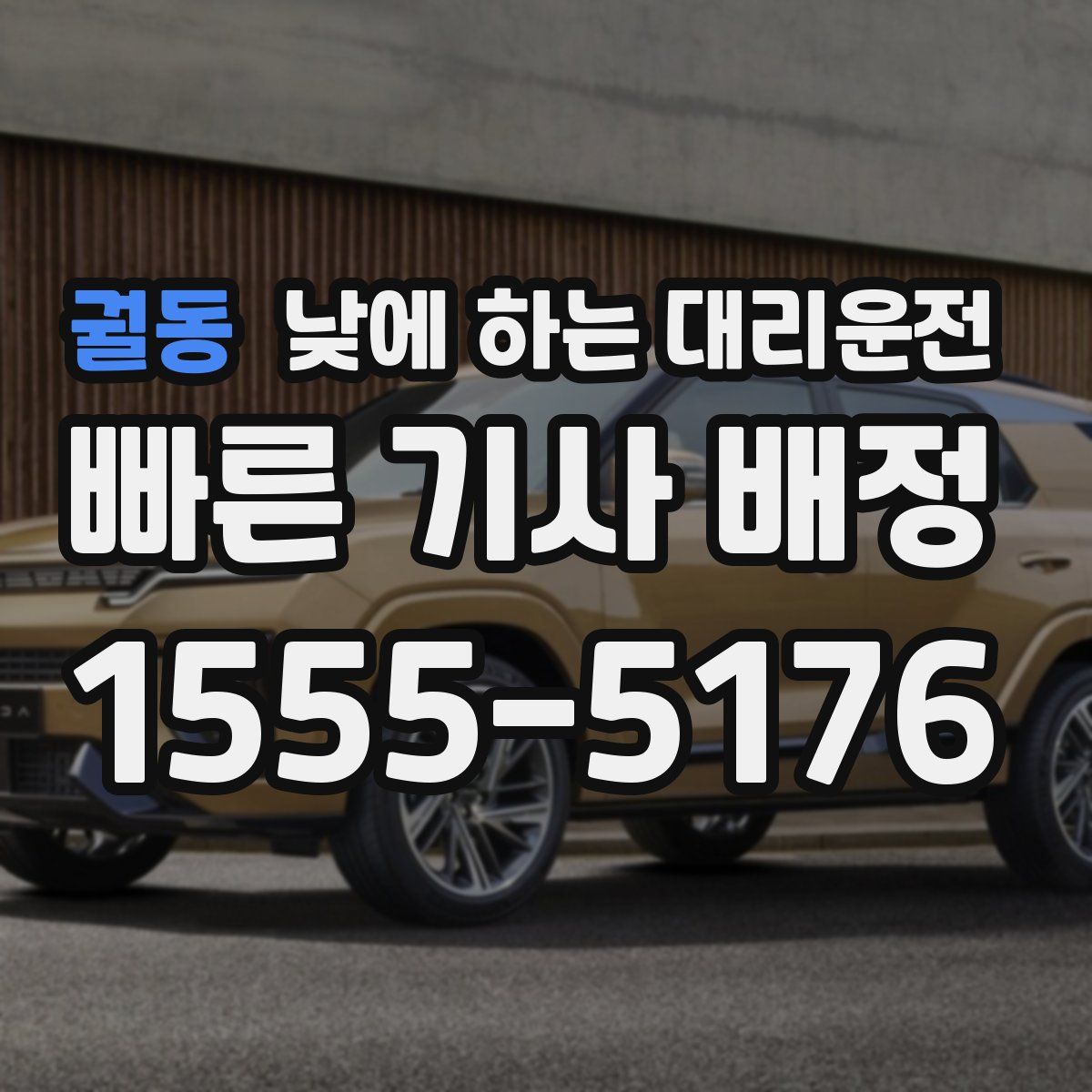 궐동 낮에 하는 대리운전