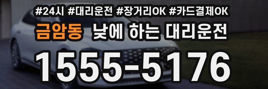 금암동 낮에 하는 대리운전