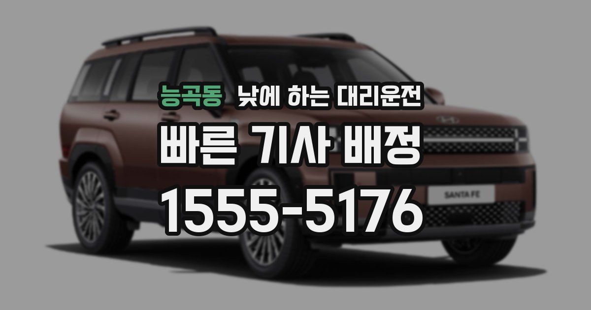 능곡동 낮에 하는 대리운전