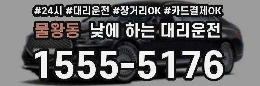 물왕동 낮에 하는 대리운전