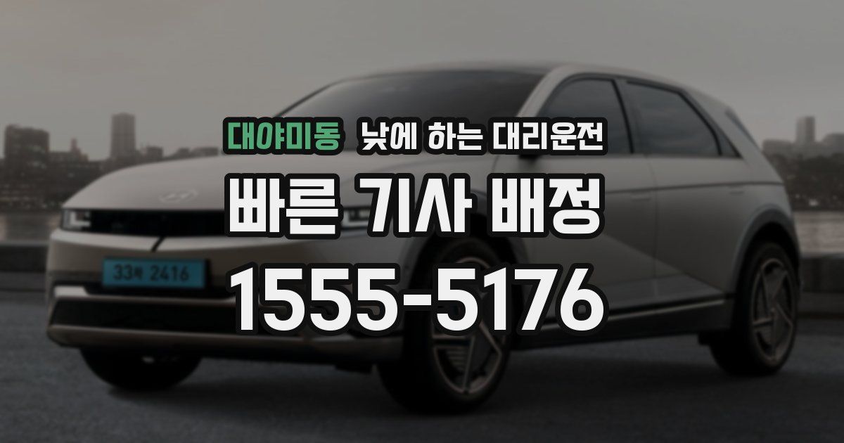 대야미동 낮에 하는 대리운전