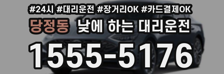 당정동 낮에 하는 대리운전