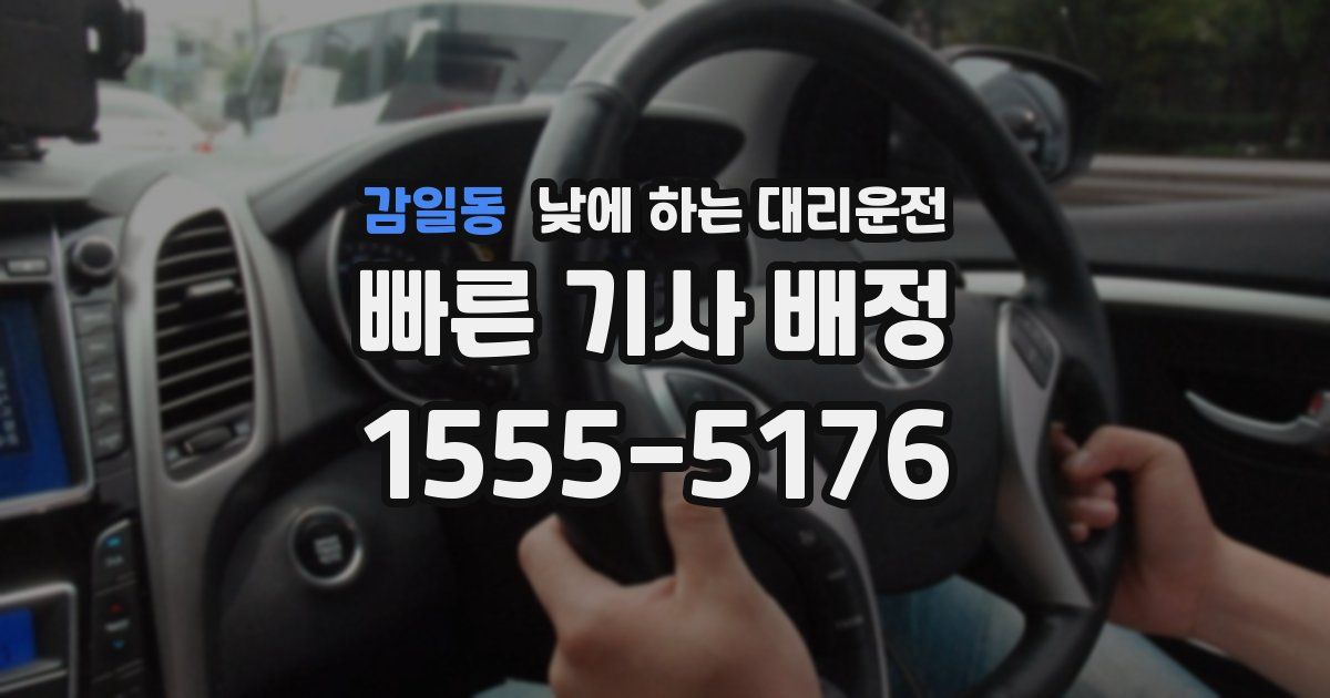 감일동 낮에 하는 대리운전