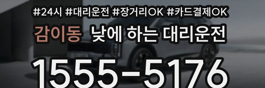 감이동 낮에 하는 대리운전