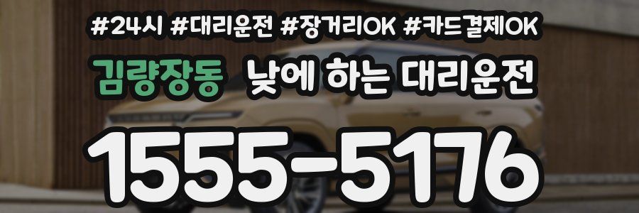 김량장동 낮에 하는 대리운전