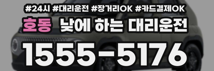 호동 낮에 하는 대리운전